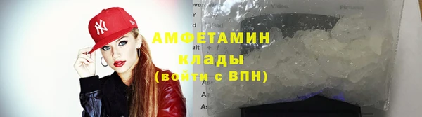 шишки Михайловск