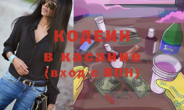 шишки Михайловск