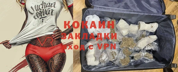 шишки Михайловск