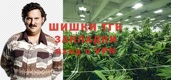 шишки Михайловск