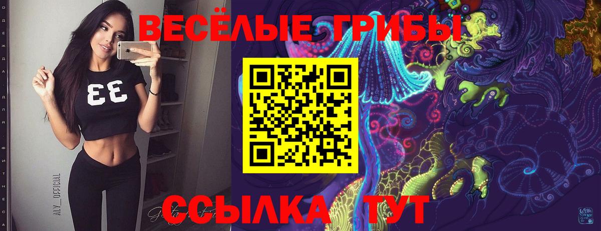 Ялуторовск  Псилоцибиновые грибы прущие грибы  где найти наркотики  Галлюциногенные грибы мицелий  Вход с VPN 
